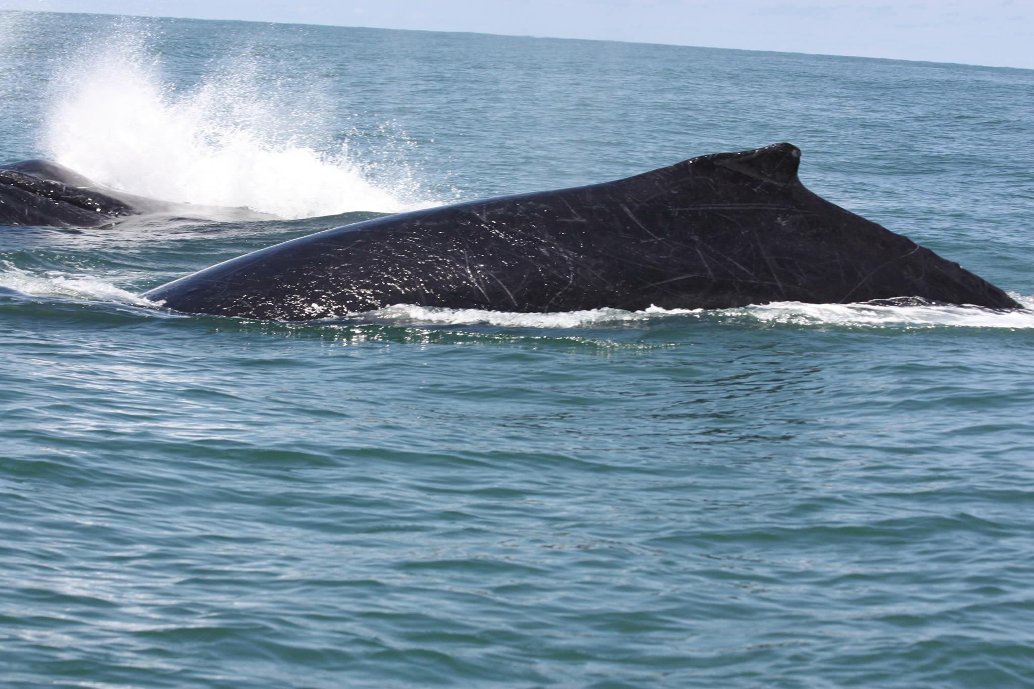 Photo by Bahía Aventuras