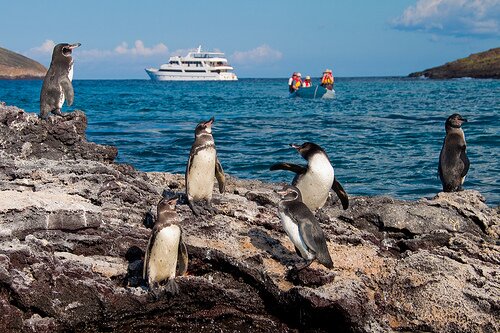 Photo by Andean Travel Company