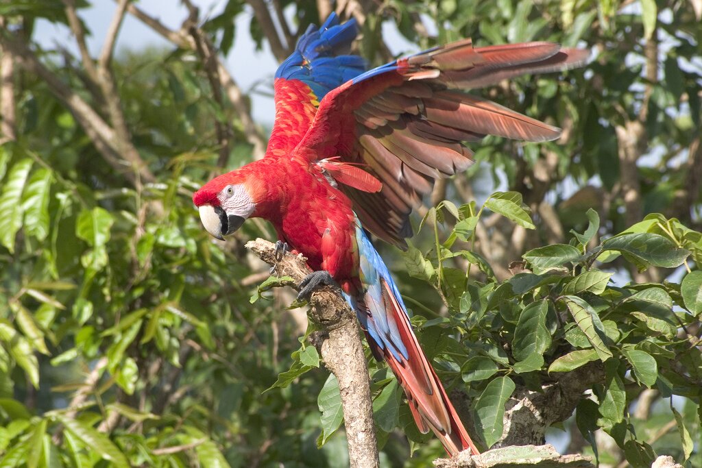 Photo by Costa Rican Trails Photo by Costa Rican Trails