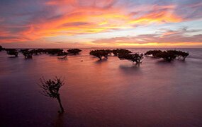 photo provided by Red Sustainable Travel, Mexico